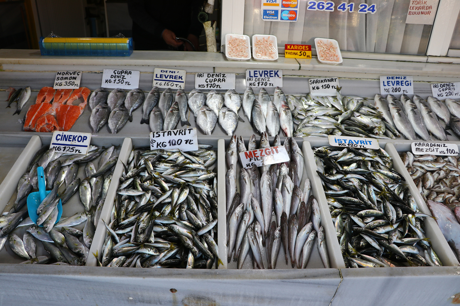 Tekirdağ’da avlanan çinekop, kilosu 125 liradan satılıyor