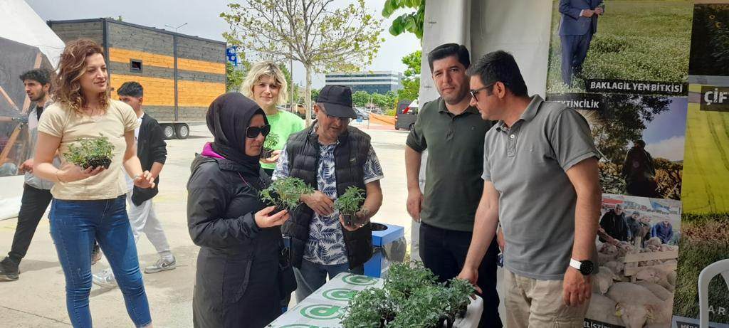 TEKİRDAĞ BÜYÜKŞEHİR BELEDİYESİ FUARDA 35 BİN DOMATES FİDESİ DAĞITACAK