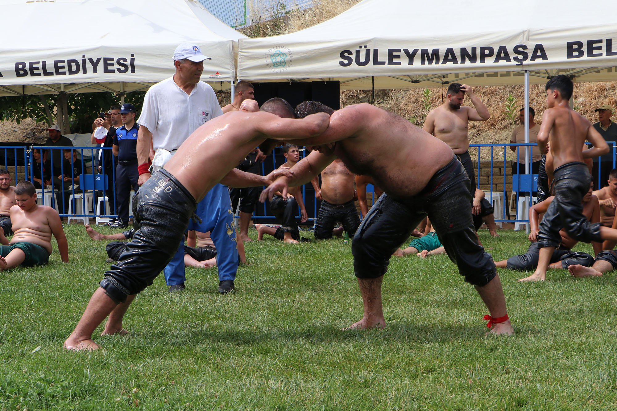 Tekirdağ Hüseyin Pehlivan Yağlı Güreşleri başladı