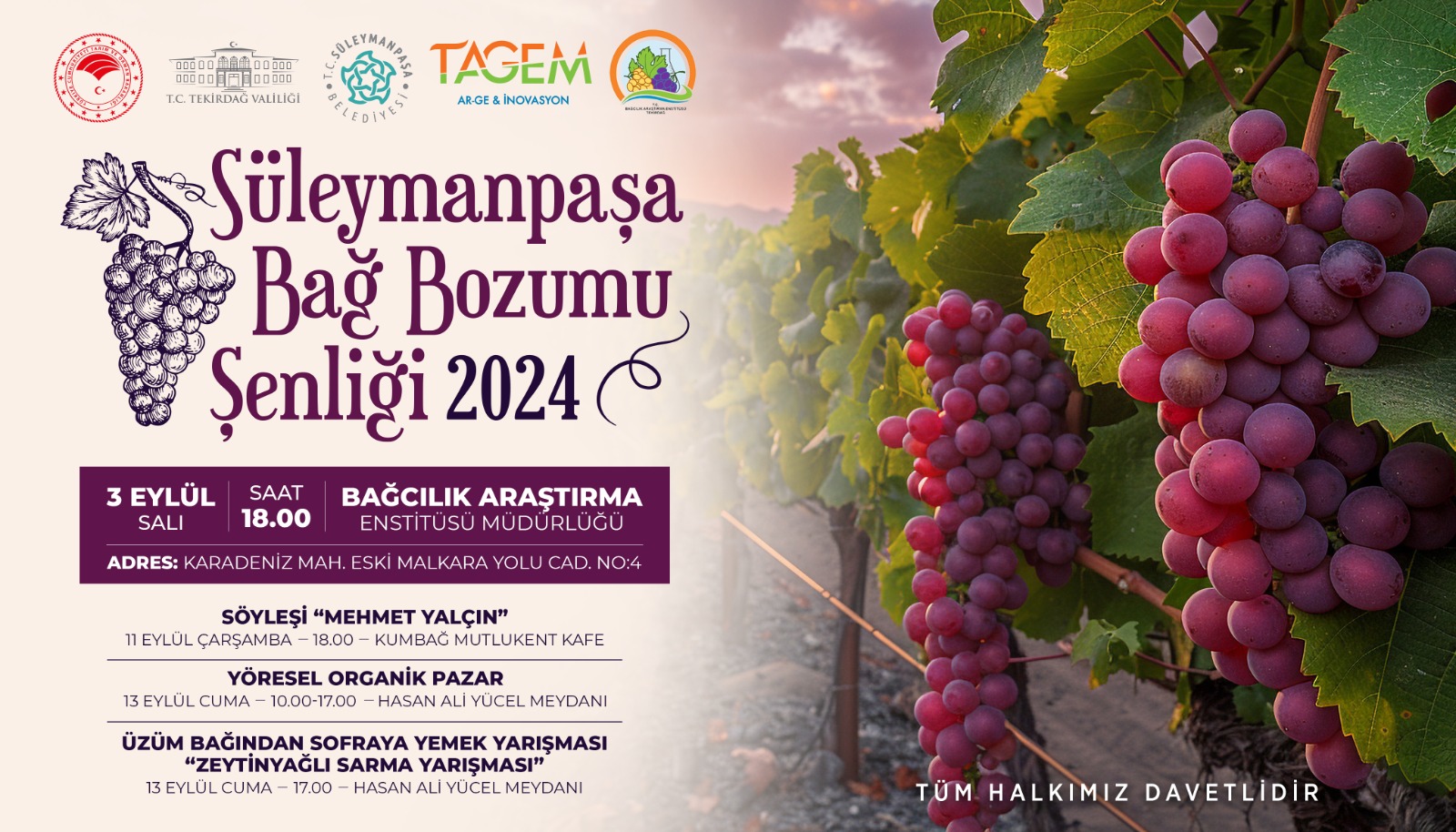 Süleymanpaşa Bağ Bozumu Şenliği başlıyor