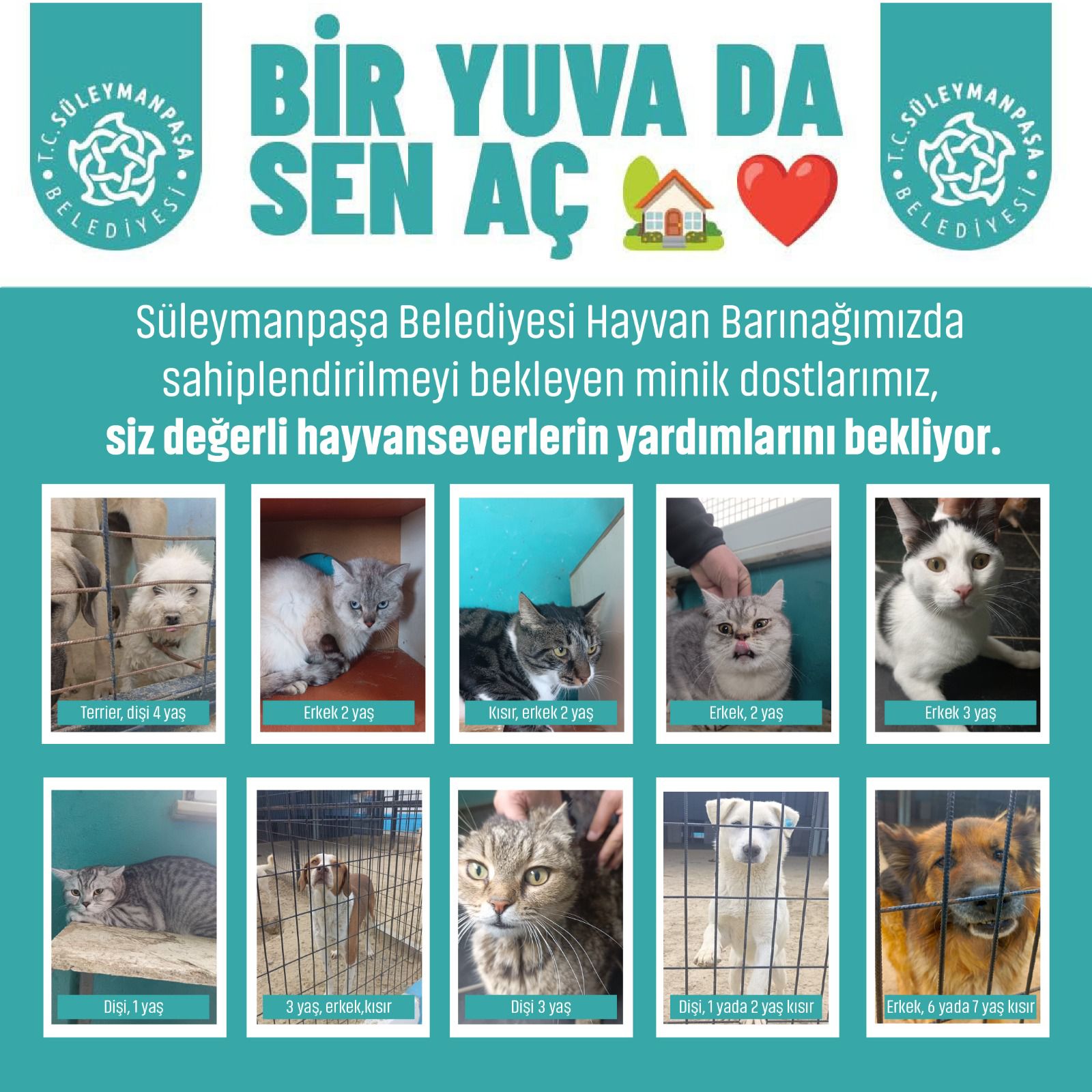 Süleymanpaşa Belediyesinden Anlamlı Çağrı