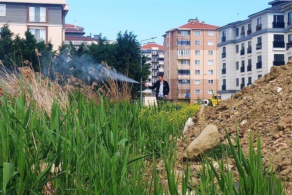 Süleymanpaşa Belediyesi’nden Sivrisineklere Karşı Vatandaşlara Çağrı