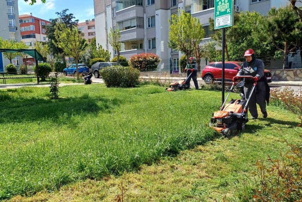 Süleymanpaşa Yaza Hazırlanıyor