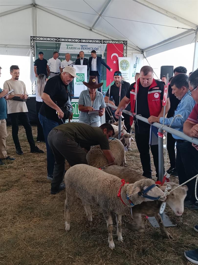Karaevli Tarım ve Teknoloji Günleri Fuarı Kapsamında Yarışmalar Yapıldı