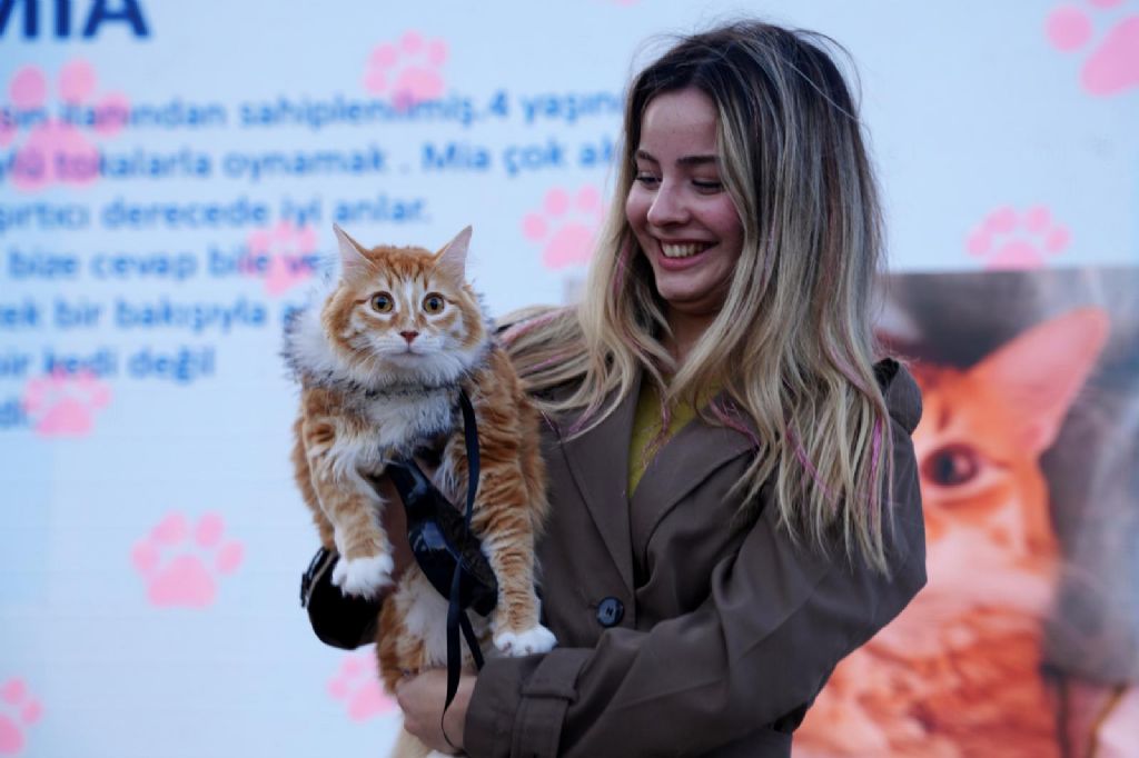 3. Patifest Çorlu, Nazım Hikmet Ran Parkı`nda Gerçekleştirildi
